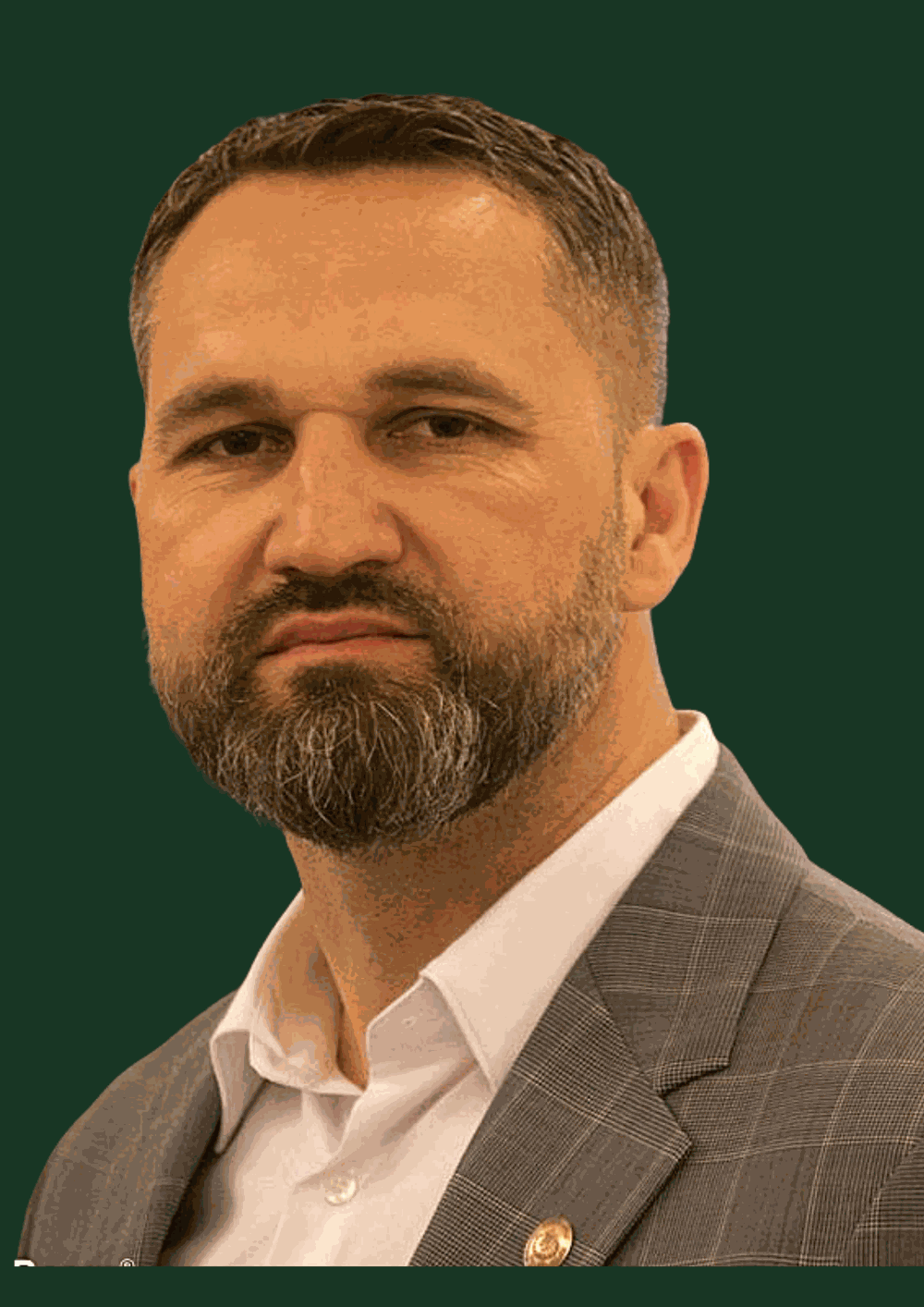 Portretul lui Mihai Lasca